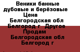 Веники банные  дубовые и берёзовые  › Цена ­ 120 - Белгородская обл., Белгород г. Другое » Продам   . Белгородская обл.,Белгород г.